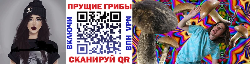 Галлюциногенные грибы Cubensis  Горно-Алтайск 